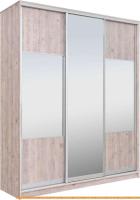 Шкаф-купе Рэйгрупп 203 SSX Elgon РГ-02.06 (сосна натуральная/хром) картинка