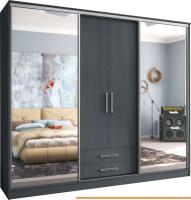 Шкаф-купе SV-Мебель Ж №20 2.7 (дуб венге) картинка