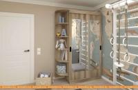 Шкаф-купе ЭлиГард Лагуна ШЛ-02.Л.2 (дуб каньон) картинка