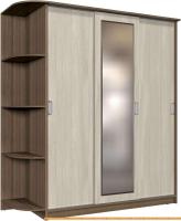 Шкаф-купе Интерлиния Андора АН17.01.01 (ясень шимо светлый/ясень шимо темный) картинка