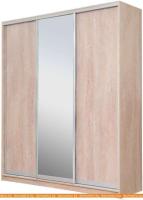 Шкаф-купе Рэйгрупп 233450 TTX Elgon РГ-01.02 (дуб торонто/хром) картинка