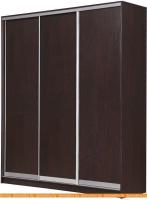 Шкаф-купе Рэйгрупп 176450 VVX Elgon РГ-03.03 (венге/хром) картинка