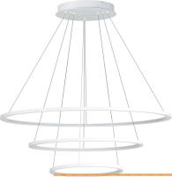 Подвесная люстра ST Luce ST603.543.114 картинка