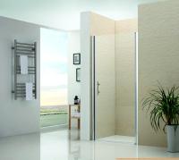 Душевая дверь RGW LE-01 70 см картинка