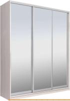 Шкаф-купе Рэйгрупп 203 YYX Elgon РГ-02.04 (ясень снежный/хром) картинка