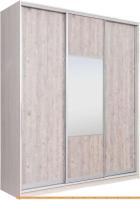 Шкаф-купе Рэйгрупп 203 YSX Elgon РГ-08.05 (ясень снежный/сосна/хром) картинка