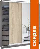 Шкаф-купе Кортекс-мебель Сенатор ШК12-45 Классика ДСП с зеркалом (береза/дуб сонома) картинка