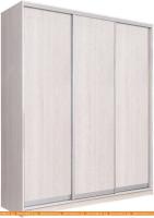 Шкаф-купе Рэйгрупп 203450 YYX Elgon РГ-08.03 (ясень снежный/хром) картинка