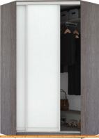 Шкаф-купе Кортекс-мебель Сенатор ШК30 Классика ДСП (береза/белый) картинка