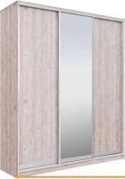 Шкаф-купе Рэйгрупп 203 SSX Elgon РГ-02.02 (сосна натуральная/хром) картинка