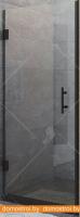 Душевая дверь RGW HO-011B 90 (черный/прозрачное стекло) картинка