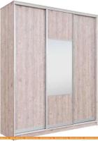 Шкаф-купе Рэйгрупп 233450 SSX Elgon РГ-01.05 (сосна натуральная/хром) картинка