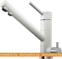 Смеситель Omoikiri Tonami-EV 4994063 картинка