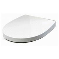 Сидение для унитаза Roca Victoria Nord ZRU9000023 картинка