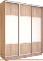 Шкаф-купе Евва 203 SS.01 АЭП ШК.3.02 (сонома/серебристый) картинка