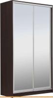 Шкаф-купе Рэйгрупп 138 VVX Elgon РГ-11.04 (венге/хром) картинка