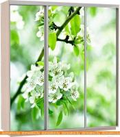 Шкаф-купе Иволанд Трейд K105-3 (дуб молочный) картинка