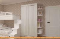 Шкаф-купе ЭлиГард Лагуна ШЛ-04.П.0 (сосна каньон) картинка