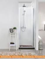 Душевая дверь Bravat Line BD100.4111A картинка