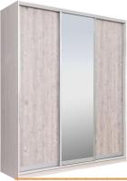 Шкаф-купе Рэйгрупп 203450 YSX Elgon РГ-08.02 (ясень снежный/сосна натуральная/хром) картинка