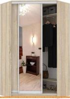 Шкаф-купе Кортекс-мебель Сенатор ШК30 Классика ДСП с зеркалом (дуб сонома) картинка