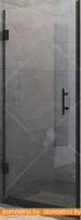 Душевая дверь RGW HO-011B 80 (черный/прозрачное стекло) картинка