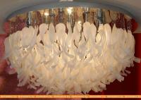 Потолочная люстра Lussole Como LSA-5603-10 картинка