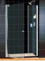 Душевая дверь RGW HO-05 120 см картинка