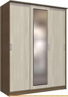 Шкаф-купе Интерлиния Неаполь АН-012-17-01 (ясень шимо светлый/ясень шимо темный) картинка