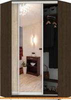 Шкаф-купе Кортекс-мебель Сенатор ШК30 Классика ДСП с зеркалом (венге/дуб сонома) картинка