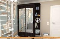 Шкаф-купе ЭлиГард Лагуна ШЛМ-02.П.2 (дуб марбург) картинка