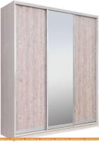 Шкаф-купе Рэйгрупп 233450 YSX Elgon РГ-07.02 (ясень снежный/сосна натуральная/хром) картинка