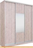 Шкаф-купе Рэйгрупп 203450 SSX Elgon РГ-02.05 (сосна натуральная/хром) картинка