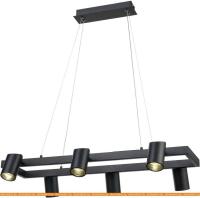 Подвесная люстра Vele Luce Zoom VL10122P06 картинка