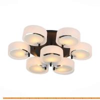 Потолочная люстра ST Luce Foresta SL483.402.09 картинка