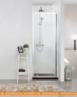 Душевая дверь Bravat Line NAA6211 картинка