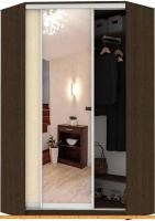 Шкаф-купе Кортекс-мебель Сенатор ШК30 Классика ДСП с зеркалом (венге/венге светлый) картинка