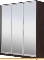 Шкаф-купе Рэйгрупп 233450 VVX Elgon РГ-01.04 (венге/хром) картинка