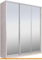 Шкаф-купе Рэйгрупп 203450 YYX Elgon РГ-02.04 (ясень снежный/хром) картинка