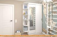 Шкаф-купе ЭлиГард Лагуна ШЛМ-02.Л.1 (белый) картинка