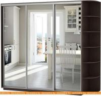 Шкаф-купе Vivat Mebel D3-08 240x60 (черное дерево) картинка