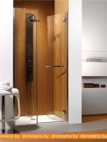 Душевая дверь Radaway Carena DWJ (89 - 90) (34302-01-01NR) картинка