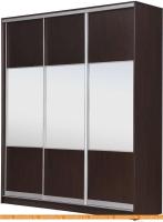 Шкаф-купе Рэйгрупп 203450 VVX Elgon РГ-02.01 (венге/хром) картинка