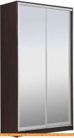 Шкаф-купе Рэйгрупп 120450 VVX Elgon РГ-06.04 (венге/хром) картинка