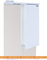 Шкаф с зеркалом Onika Лайн 48.01 R 204802 картинка