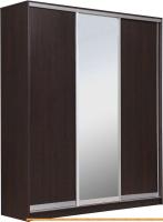Шкаф-купе Рэйгрупп 203 VVX Elgon РГ-02.02 (венге/хром) картинка