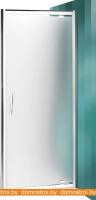 Душевая дверь Roth Proxima Line PXDO1N/90 (матовое) 525-9000000-00-15 картинка