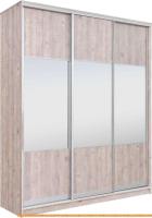 Шкаф-купе Рэйгрупп 203 SSX Elgon РГ-02.01 (сосна натуральная/хром) картинка