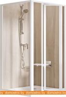 Душевой уголок Ravak Supernova SDZ3+PSS 100x75 (grape/белый) картинка