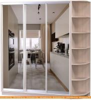 Шкаф-купе Vivat Mebel D3-08 240x60 (ясень шимо светлый) картинка